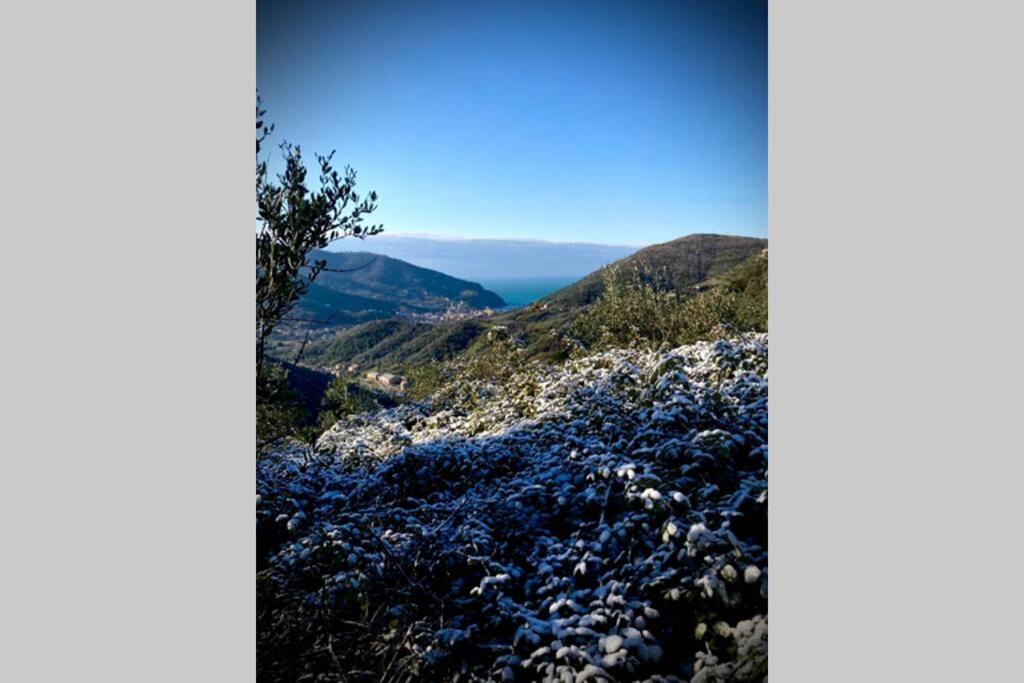 Casa Sara, Levanto, In Collina Ad Un Passo Dal Mare! Buitenkant foto